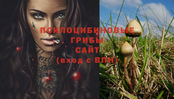 гидропоника Верея