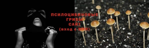гидропоника Верея